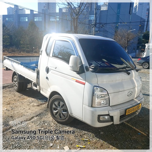 세종용달이사