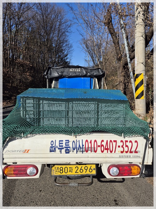 세종용달이사